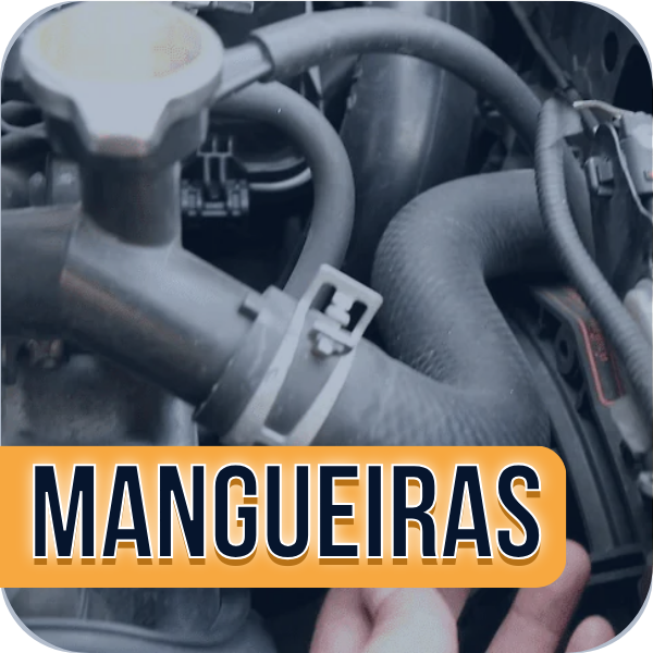 Mangueiras diversas
