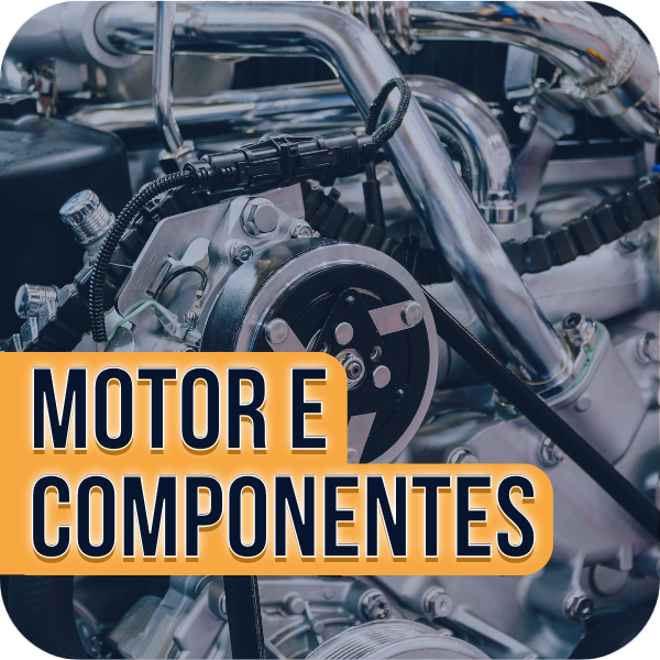Motor e Componentes