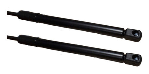 Par Amortecedor Porta Malas Citroen C4 Vtr Hatch 2006.......