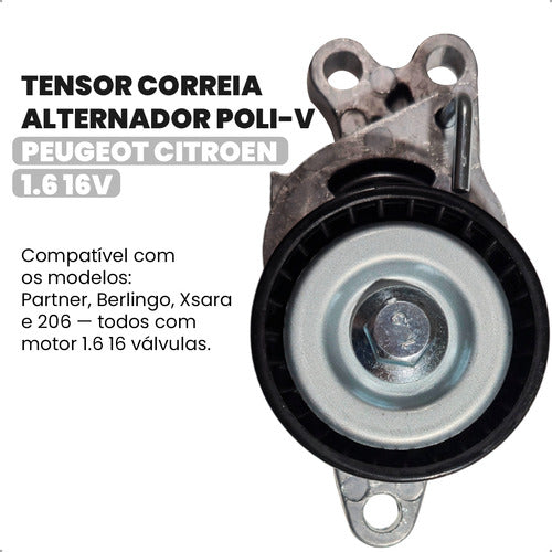 Tensor Correia Alternador Poli Partner Berlingo Xsara 1,6 16