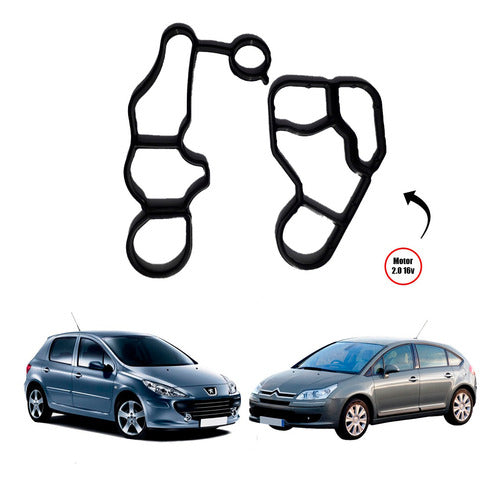 Kit Junta Radiador Trocador Calor Óleo Peugeot C4/307 2.0