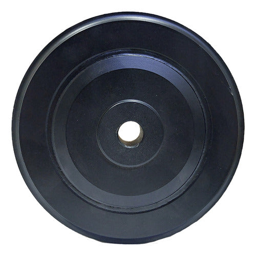 Polia Virabrequim Renault Scenic Megane Laguna 2.0 8v Todos