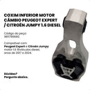 Coxim Inferior Motor Câmbio Expert Jumpy 1.5 1.6 Diesel