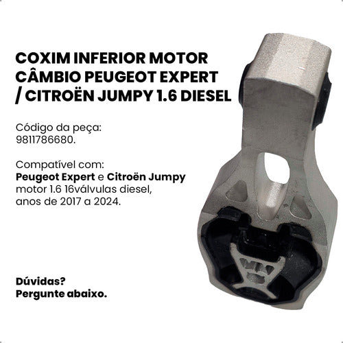 Coxim Inferior Motor Câmbio Expert Jumpy 1.5 1.6 Diesel