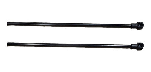 Par Amortecedor Porta Malas Citroen C4 Vtr Hatch 2006.......